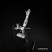 Concertfotografie